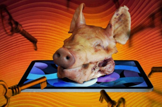 How to avoid China’s ‘pig butchering’ cyberscams