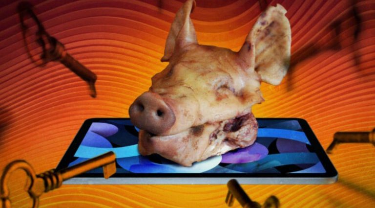 How to avoid China’s ‘pig butchering’ cyberscams