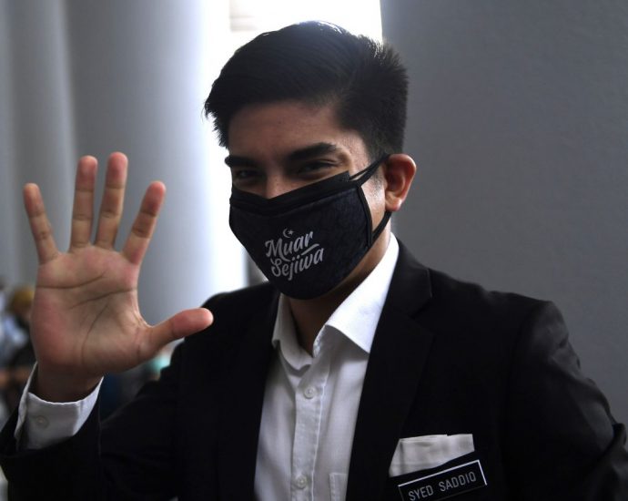 Is Najib a.k.a. 'Merpati' a bird in a gilded cage, asks Syed Saddiq