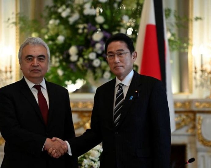 Japan’s restart of nuclear reactors will help Europe’s winter energy supply, says IEA chief