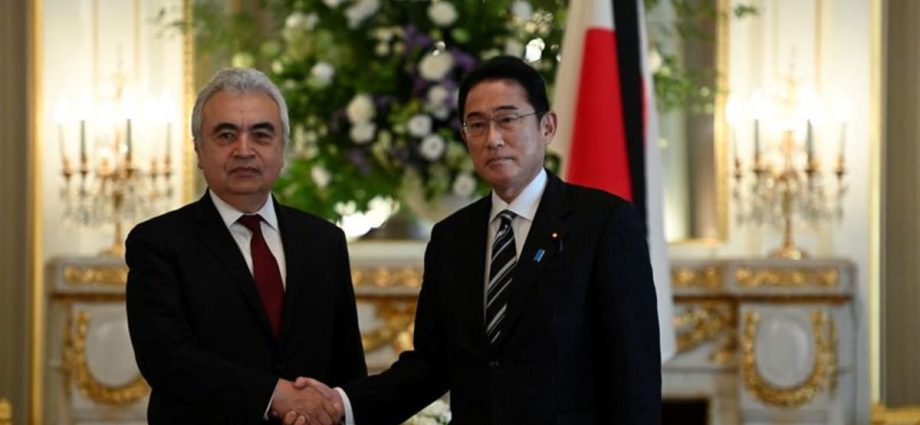Japan's restart of nuclear reactors will help Europe's winter energy supply, says IEA chief