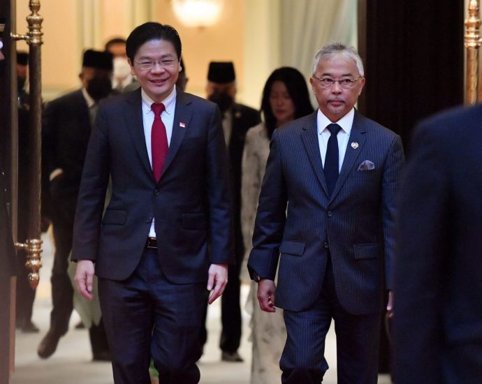 King grants audience to Singapore’s DPM