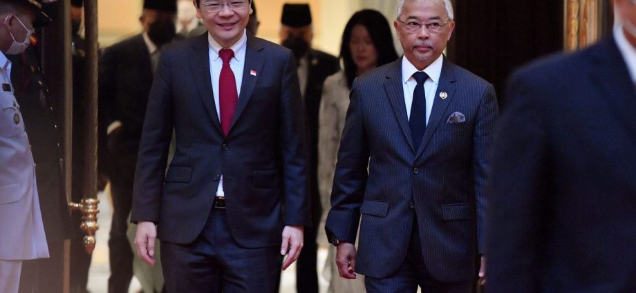 King grants audience to Singapore’s DPM