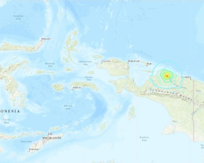 Magnitude 6.2 earthquake strikes Papua, Indonesia, no tsunami warning