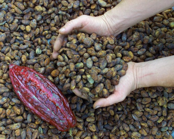 Malaysia to achieve over RM7bil in cocoa exports, says Deputy Commodities Minister