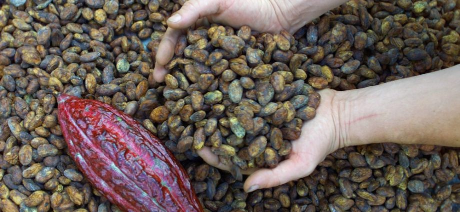 Malaysia to achieve over RM7bil in cocoa exports, says Deputy Commodities Minister