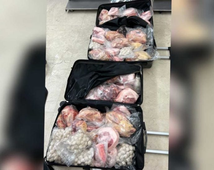 Man fined S,500 for illegally importing more than 200kg of meat into Singapore