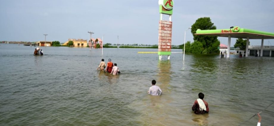 ‘Nobody knows where their village is’: New inland sea swamps Pakistan