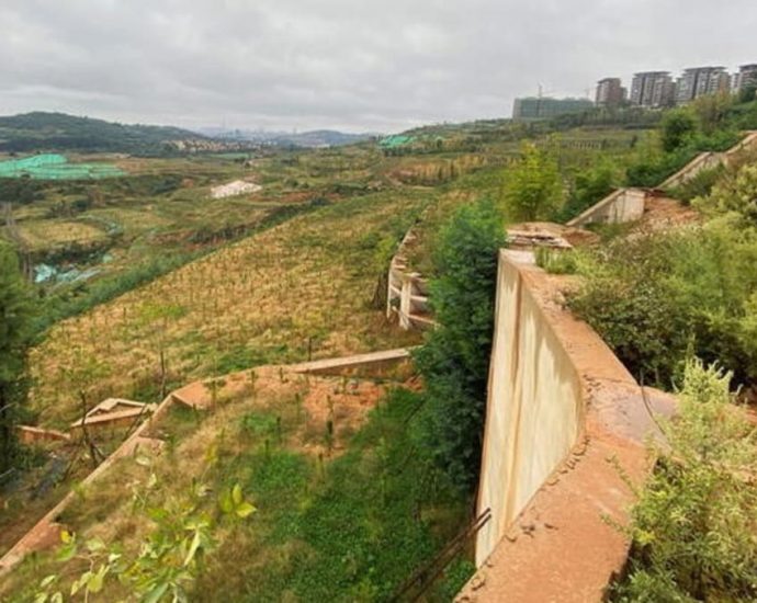 One-third of China's land protected under ecological 'red line' scheme