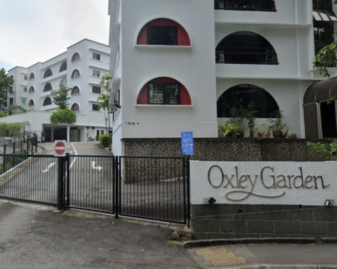 Oxley Garden relaunched for en bloc sale at reserve price of S0 million