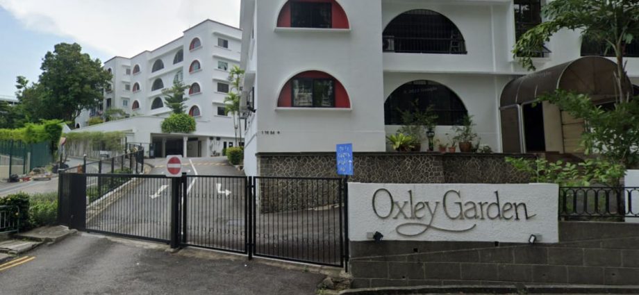 Oxley Garden relaunched for en bloc sale at reserve price of S$200 million