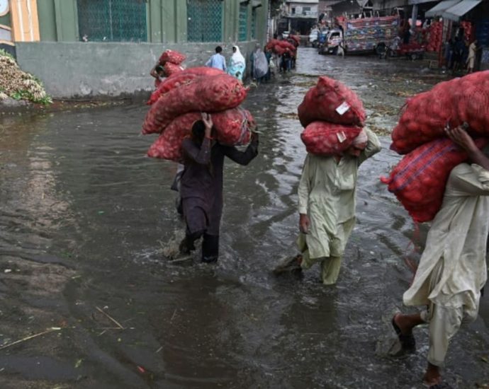 Pakistan floods: Better planning could have limited loss of life, immediate concerns include food security, say experts