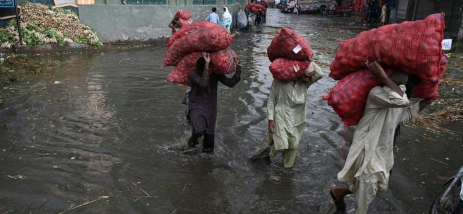 Pakistan floods: Better planning could have limited loss of life, immediate concerns include food security, say experts