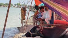 Pakistan floods: 'We spent the whole night running from the flood'
