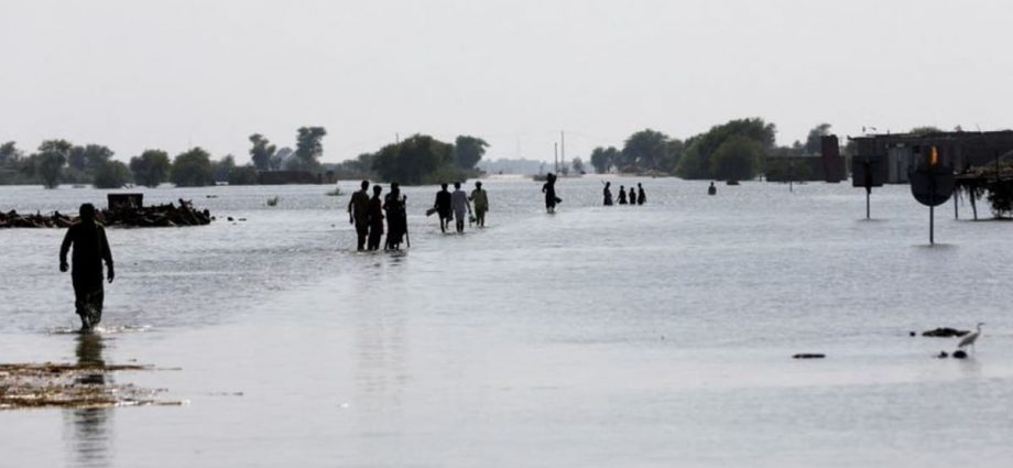 Pakistan’s armed forces rescue 2,000 marooned by historic floods