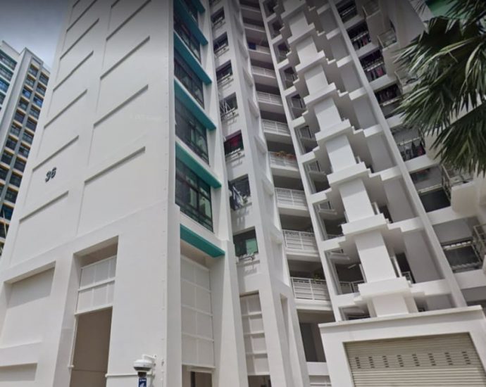 Police, SCDF say officers acted appropriately in incident of woman jumping from Eunos HDB block