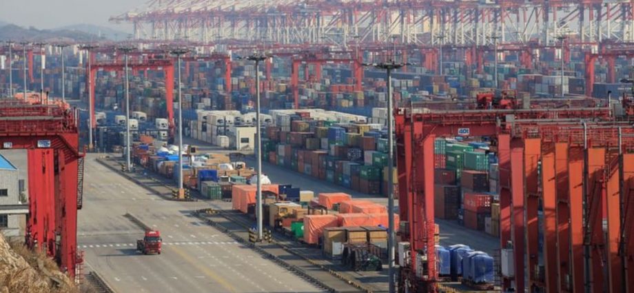 Ports in eastern China at standstill as Typhoon Muifa closes in