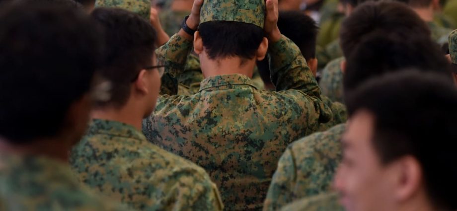 SAF Amnesty Scheme for drug offences only available to SAF soldiers once: Ng Eng Hen