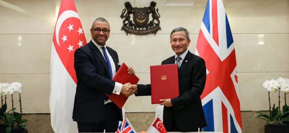 Singapore, UK commit to jointly promote capacity-building in Southeast Asia