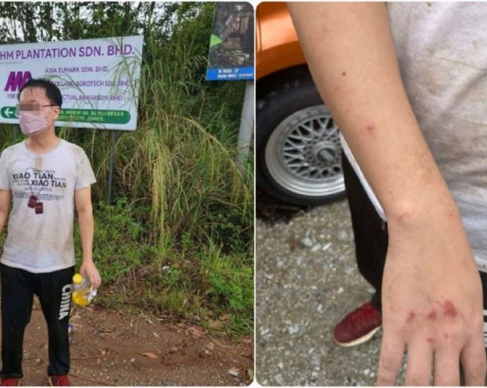 Singaporean hiker who went missing in Kota Tinggi forest reserve found safe with minor injuries: Johor police