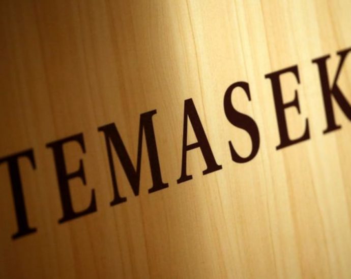 Temasek to step up investments once market valuations drop further, executive says