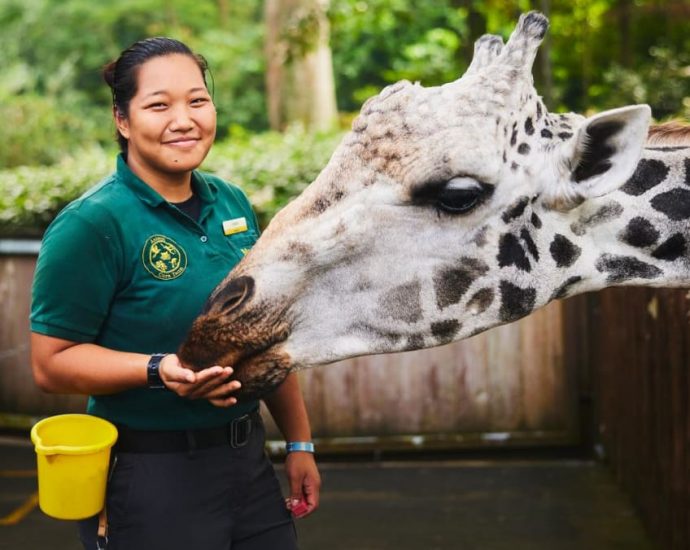 This 25-year-old filmmaking student veered off the beaten track to care for rhinos, giraffes and zebras