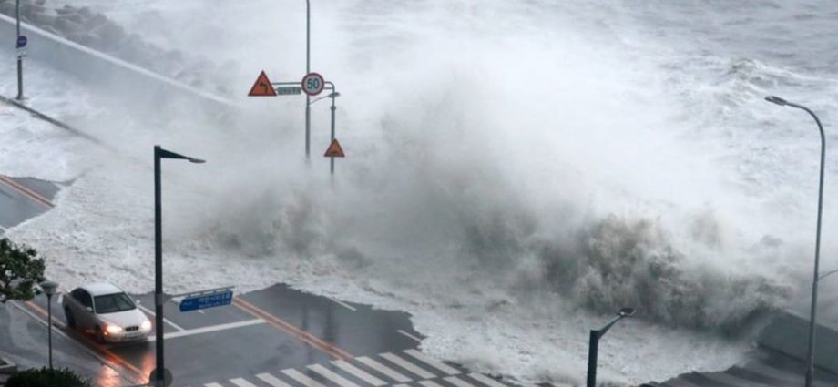 Thousands evacuate as Typhoon Hinnamnor hits South Korea