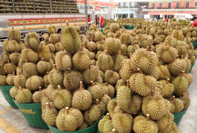 Two brokers probed over inferior durians for export