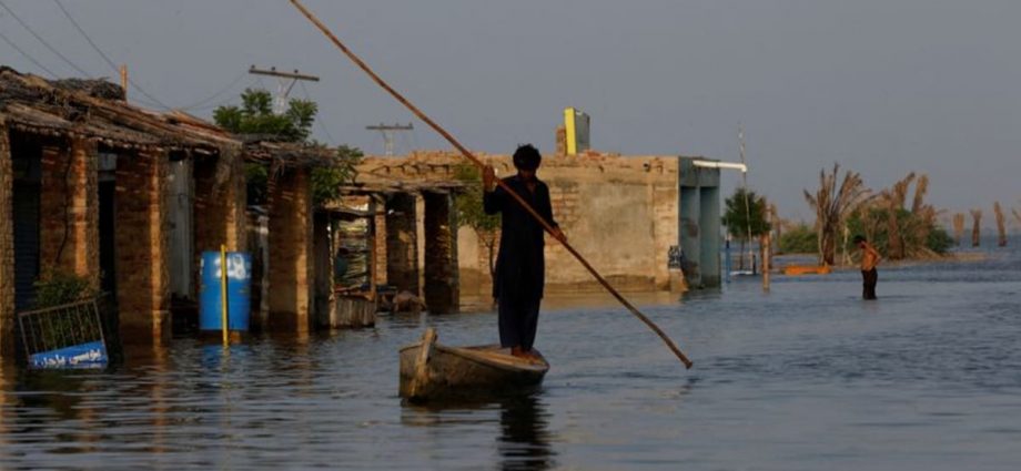 UN chief calls for 'massive' help as Pakistan puts flood losses at US$30 billion