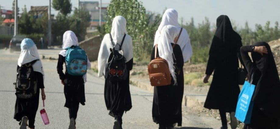 UN condemns 'shameful' year-long ban on Afghan girls' education