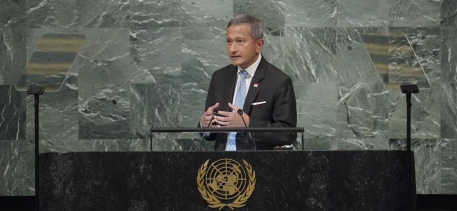 Upholding inclusive, rules-based multilateral system is 'only way forward': Vivian Balakrishnan