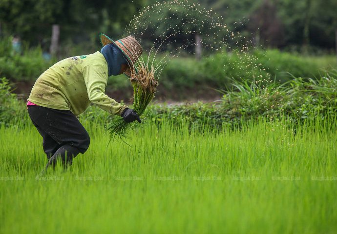 Vietnam: No agreement with Thailand on rice prices