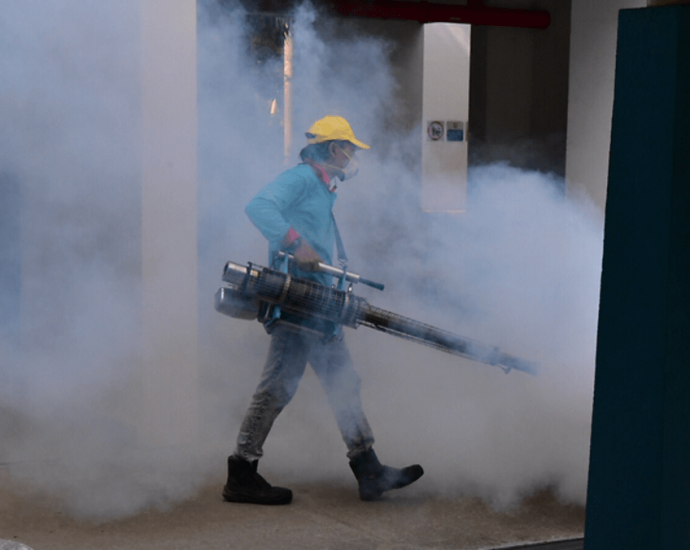 Weekly dengue cases fall below 600 in September, but continued vigilance is critical: NEA