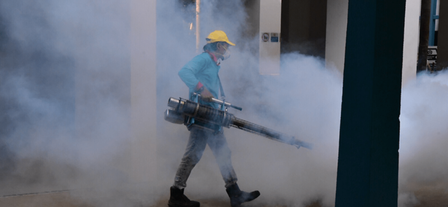 Weekly dengue cases fall below 600 in September, but continued vigilance is critical: NEA