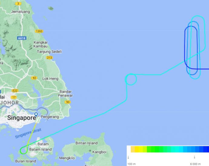 What we know about the false bomb threat on Singapore Airlines flight SQ33