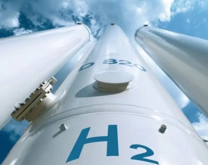 Why China won’t dominate the green hydrogen future