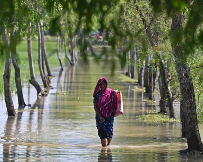 16 dead, million seek shelter as Cyclone Sitrang hits Bangladesh