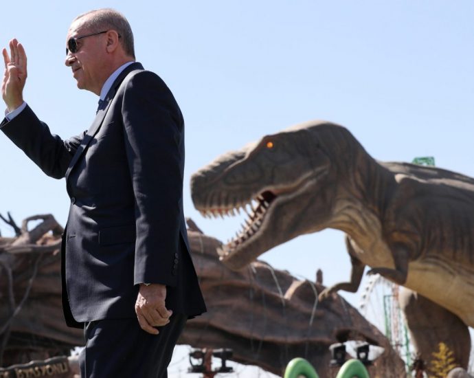 An entertaining window into Turkey’s gross misspending