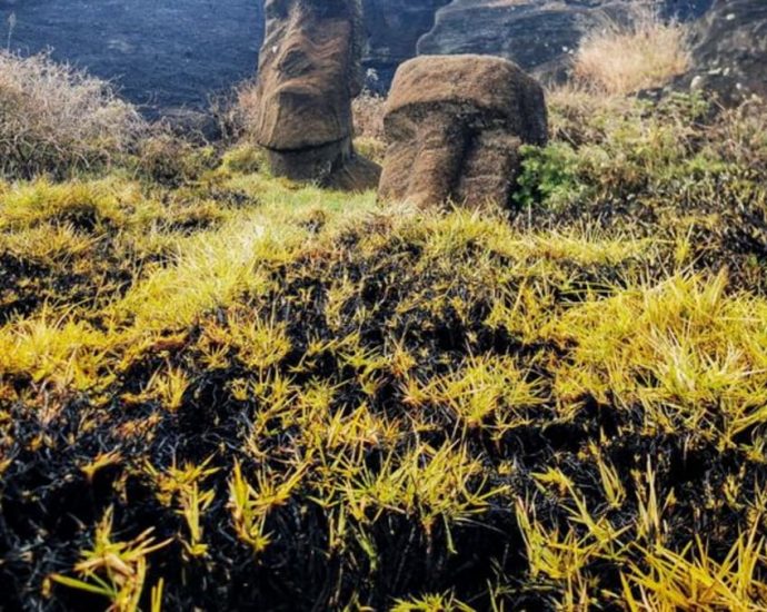 Chile’s Easter Island ‘Moai’ statues face irreparable damage after wildfire