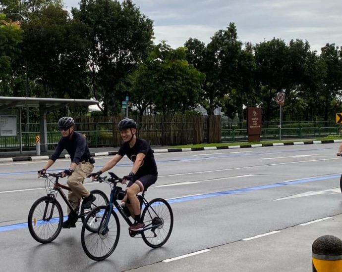 Cyclists get dedicated on-road cycling lane at Seletar under six-month trial