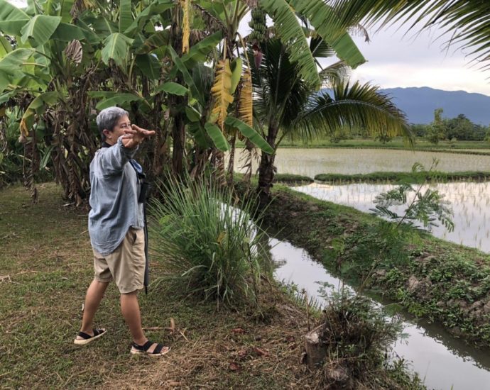 Eco-farming ‘to undo harm’