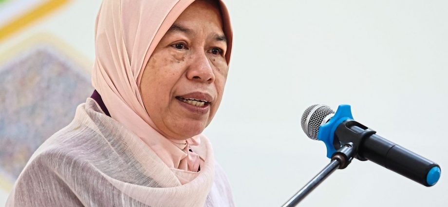 GE15: PBM to go solo, party president issue to be settled internally, says Zuraida