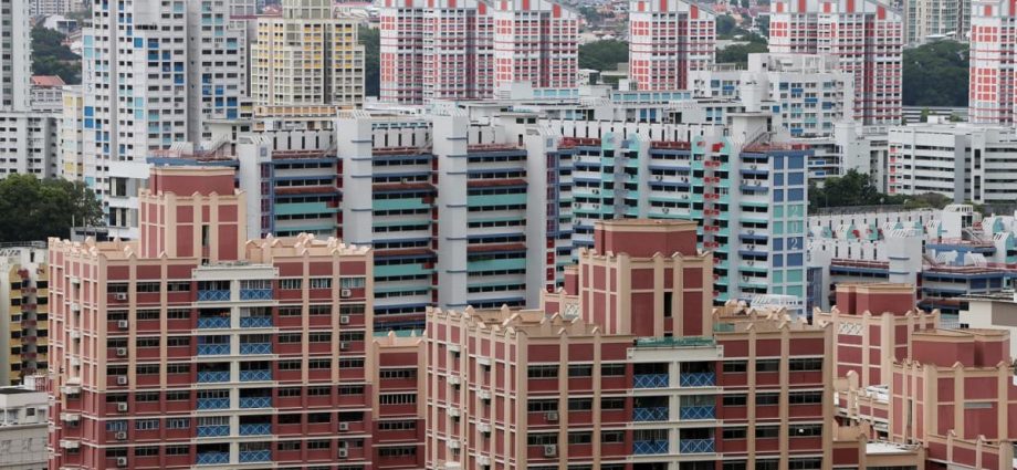 Government will do what is necessary to ensure affordable public housing for Singaporeans: Desmond Lee