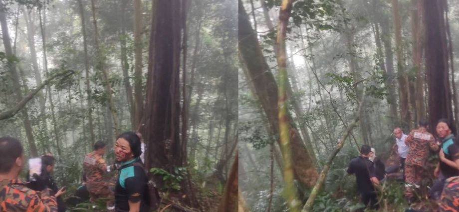 Helicopter carrying Health Ministry staff members crashes in Cameron Highlands, three hurt