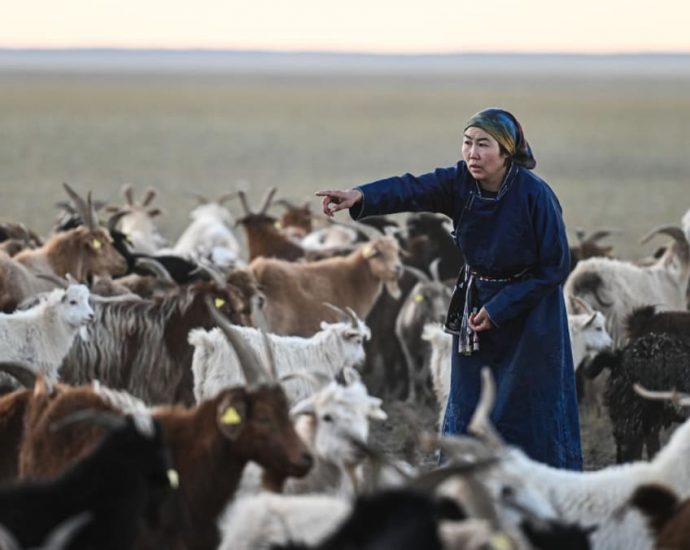 In the deep, cold Gobi desert, Mongolia’s nomadic herders cannot outrun climate change