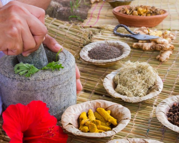 India’s alternative medicine industry grows, boosted by COVID-19 pandemic