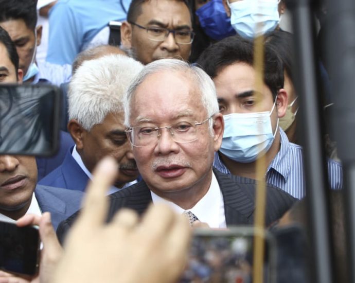 Jailed former PM Najib among UMNO nominees for Pekan seat contest in upcoming election: Reports