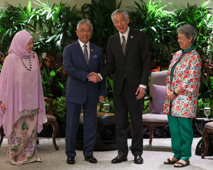 King grants audience to Singapore PM during state visit to island republic