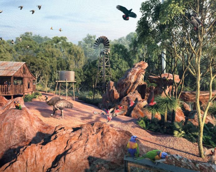 New wildlife park Bird Paradise to open in second quarter of 2023