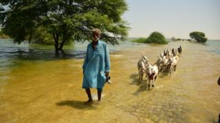 Pakistan floods: ‘It’s like fighting a war with no end’